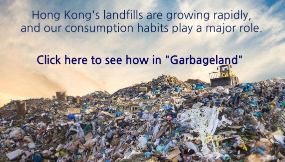 WhatsApp Image 2018-12-07 at 10.35.53.jpeg